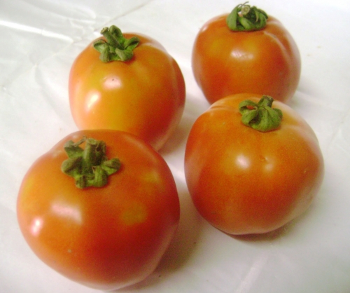Tomato Allergy-Causes, Symptoms, And Cure